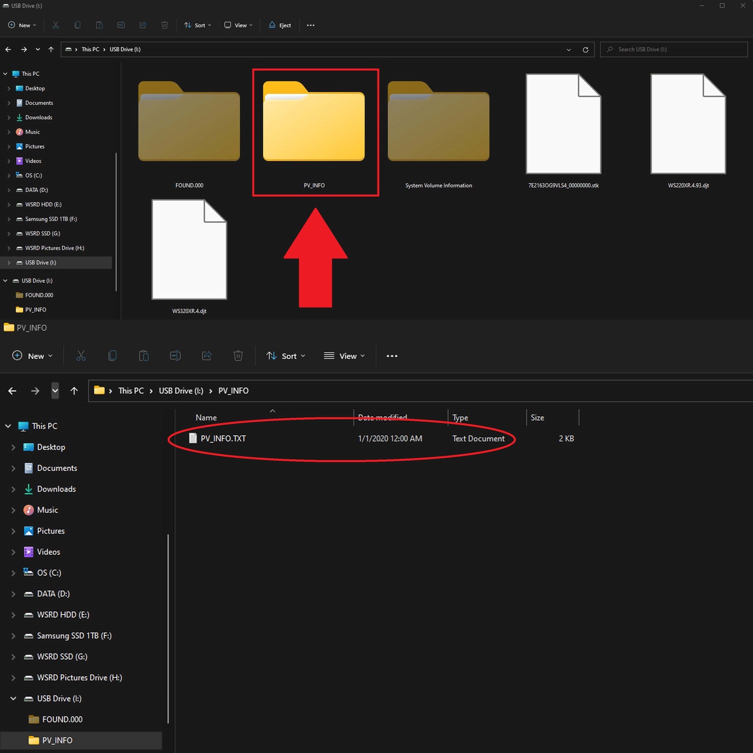 PVINFO FILE.TXT